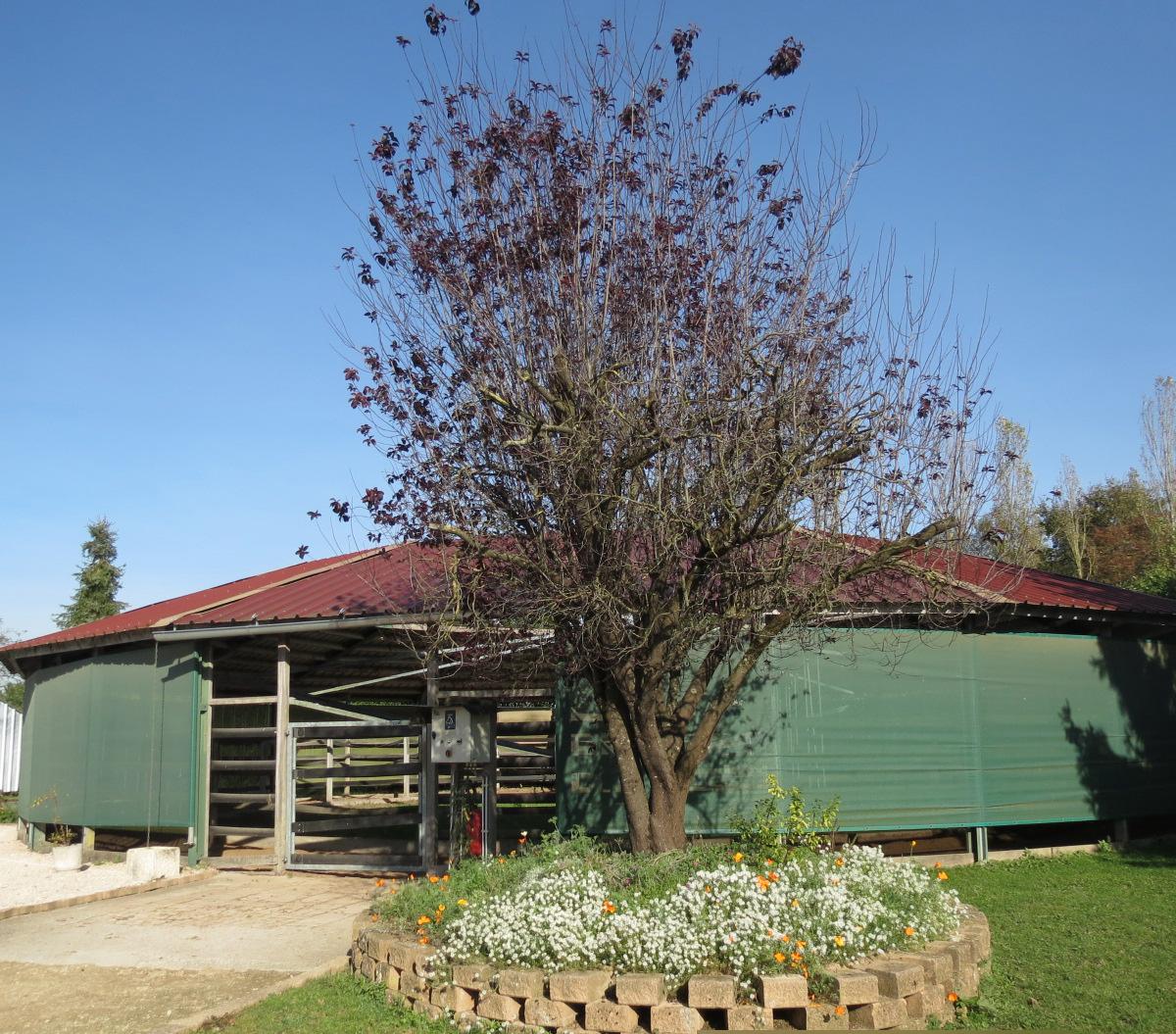Infrastructure Centre Hippique de Rahon