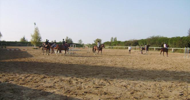 Infrastructure Centre Hippique de Rahon