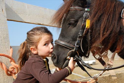 Petite fille et cheval